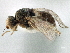 ( - CCDB-21329-B01)  @11 [ ] CreativeCommons - Attribution (2014) CBG Photography Group Centre for Biodiversity Genomics