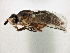  ( - CCDB-21329-B06)  @15 [ ] CreativeCommons - Attribution (2014) CBG Photography Group Centre for Biodiversity Genomics