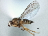  ( - CCDB-21329-D03)  @11 [ ] CreativeCommons - Attribution (2014) CBG Photography Group Centre for Biodiversity Genomics