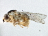  ( - CCDB-21329-D07)  @12 [ ] CreativeCommons - Attribution (2014) CBG Photography Group Centre for Biodiversity Genomics