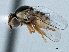  ( - CCDB-21329-D08)  @11 [ ] CreativeCommons - Attribution (2014) CBG Photography Group Centre for Biodiversity Genomics