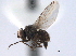  ( - CCDB-21330-A01)  @11 [ ] CreativeCommons - Attribution (2014) CBG Photography Group Centre for Biodiversity Genomics