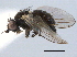  ( - CCDB-21330-A04)  @11 [ ] CreativeCommons - Attribution (2014) CBG Photography Group Centre for Biodiversity Genomics