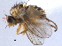  ( - CCDB-21330-C02)  @11 [ ] CreativeCommons - Attribution (2014) CBG Photography Group Centre for Biodiversity Genomics