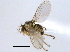  ( - CCDB-21330-C03)  @11 [ ] CreativeCommons - Attribution (2014) CBG Photography Group Centre for Biodiversity Genomics