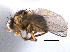  ( - CCDB-21330-C05)  @11 [ ] CreativeCommons - Attribution (2014) CBG Photography Group Centre for Biodiversity Genomics