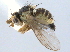  ( - CCDB-21330-D10)  @11 [ ] CreativeCommons - Attribution (2014) CBG Photography Group Centre for Biodiversity Genomics