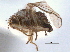  ( - CCDB-21330-D12)  @11 [ ] CreativeCommons - Attribution (2014) CBG Photography Group Centre for Biodiversity Genomics