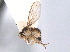  ( - CCDB-21330-E01)  @11 [ ] CreativeCommons - Attribution (2014) CBG Photography Group Centre for Biodiversity Genomics