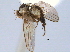  ( - CCDB-21330-E10)  @11 [ ] CreativeCommons - Attribution (2014) CBG Photography Group Centre for Biodiversity Genomics