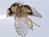  ( - CCDB-21330-F08)  @11 [ ] CreativeCommons - Attribution (2014) CBG Photography Group Centre for Biodiversity Genomics