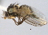  ( - CCDB-21330-G03)  @11 [ ] CreativeCommons - Attribution (2014) CBG Photography Group Centre for Biodiversity Genomics