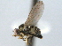 ( - CCDB-21330-H08)  @11 [ ] CreativeCommons - Attribution (2014) CBG Photography Group Centre for Biodiversity Genomics
