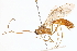  ( - CCDB-21332-E04)  @13 [ ] CreativeCommons - Attribution (2014) CBG Photography Group Centre for Biodiversity Genomics