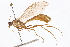  ( - CCDB-21332-E05)  @14 [ ] CreativeCommons - Attribution (2014) CBG Photography Group Centre for Biodiversity Genomics