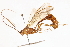  ( - CCDB-21332-H05)  @11 [ ] CreativeCommons - Attribution (2014) CBG Photography Group Centre for Biodiversity Genomics