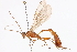  ( - CCDB-21332-H08)  @11 [ ] CreativeCommons - Attribution (2014) CBG Photography Group Centre for Biodiversity Genomics