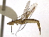  ( - CCDB-21334-B07)  @11 [ ] CreativeCommons - Attribution (2014) CBG Photography Group Centre for Biodiversity Genomics