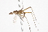  ( - CCDB-21334-B10)  @11 [ ] CreativeCommons - Attribution (2014) CBG Photography Group Centre for Biodiversity Genomics