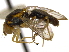  ( - CCDB-21334-C06)  @11 [ ] CreativeCommons - Attribution (2014) CBG Photography Group Centre for Biodiversity Genomics