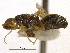  ( - CCDB-21334-D03)  @12 [ ] CreativeCommons - Attribution (2014) CBG Photography Group Centre for Biodiversity Genomics
