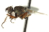  ( - CCDB-21400-B05)  @11 [ ] CreativeCommons - Attribution (2014) CBG Photography Group Centre for Biodiversity Genomics