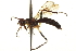  ( - CCDB-21400-C05)  @13 [ ] CreativeCommons - Attribution (2014) CBG Photography Group Centre for Biodiversity Genomics