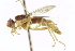  ( - CCDB-21400-F01)  @13 [ ] CreativeCommons - Attribution (2014) CBG Photography Group Centre for Biodiversity Genomics
