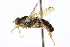  ( - CCDB-21400-F02)  @14 [ ] CreativeCommons - Attribution (2014) CBG Photography Group Centre for Biodiversity Genomics