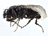  ( - CCDB-21403-A10)  @11 [ ] CreativeCommons - Attribution (2014) CBG Photography Group Centre for Biodiversity Genomics
