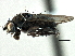  ( - CCDB-21403-F07)  @11 [ ] CreativeCommons - Attribution (2014) CBG Photography Group Centre for Biodiversity Genomics
