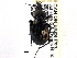  ( - CCDB-21408-H03)  @11 [ ] CreativeCommons - Attribution (2014) CBG Photography Group Centre for Biodiversity Genomics