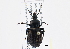  ( - CCDB-21408-H07)  @14 [ ] CreativeCommons - Attribution (2014) CBG Photography Group Centre for Biodiversity Genomics