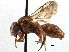  ( - CCDB-21409-A02)  @11 [ ] CreativeCommons - Attribution (2014) CBG Photography Group Centre for Biodiversity Genomics