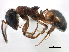  ( - CCDB-21409-F06)  @11 [ ] CreativeCommons - Attribution (2014) CBG Photography Group Centre for Biodiversity Genomics