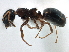  ( - CCDB-21409-F09)  @11 [ ] CreativeCommons - Attribution (2014) CBG Photography Group Centre for Biodiversity Genomics