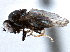  ( - CCDB-21412-A02)  @13 [ ] CreativeCommons - Attribution (2014) CBG Photography Group Centre for Biodiversity Genomics