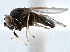  ( - CCDB-21412-A03)  @11 [ ] CreativeCommons - Attribution (2014) CBG Photography Group Centre for Biodiversity Genomics