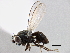  ( - CCDB-21412-B10)  @14 [ ] CreativeCommons - Attribution (2014) CBG Photography Group Centre for Biodiversity Genomics