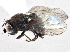  ( - CCDB-21412-C10)  @11 [ ] CreativeCommons - Attribution (2014) CBG Photography Group Centre for Biodiversity Genomics