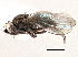  ( - CCDB-21412-C11)  @11 [ ] CreativeCommons - Attribution (2014) CBG Photography Group Centre for Biodiversity Genomics