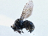  ( - CCDB-21412-E04)  @11 [ ] CreativeCommons - Attribution (2014) CBG Photography Group Centre for Biodiversity Genomics
