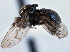  ( - CCDB-21412-E05)  @11 [ ] CreativeCommons - Attribution (2014) CBG Photography Group Centre for Biodiversity Genomics