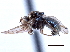  ( - CCDB-21412-E07)  @11 [ ] CreativeCommons - Attribution (2014) CBG Photography Group Centre for Biodiversity Genomics