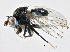  ( - CCDB-21412-E11)  @11 [ ] CreativeCommons - Attribution (2014) CBG Photography Group Centre for Biodiversity Genomics