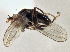  ( - CCDB-21412-E12)  @11 [ ] CreativeCommons - Attribution (2014) CBG Photography Group Centre for Biodiversity Genomics