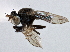  ( - CCDB-21412-F01)  @11 [ ] CreativeCommons - Attribution (2014) CBG Photography Group Centre for Biodiversity Genomics