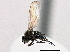  ( - CCDB-21412-G01)  @12 [ ] CreativeCommons - Attribution (2014) CBG Photography Group Centre for Biodiversity Genomics
