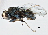  ( - CCDB-21412-G06)  @11 [ ] CreativeCommons - Attribution (2014) CBG Photography Group Centre for Biodiversity Genomics