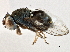  ( - CCDB-21412-G07)  @11 [ ] CreativeCommons - Attribution (2014) CBG Photography Group Centre for Biodiversity Genomics